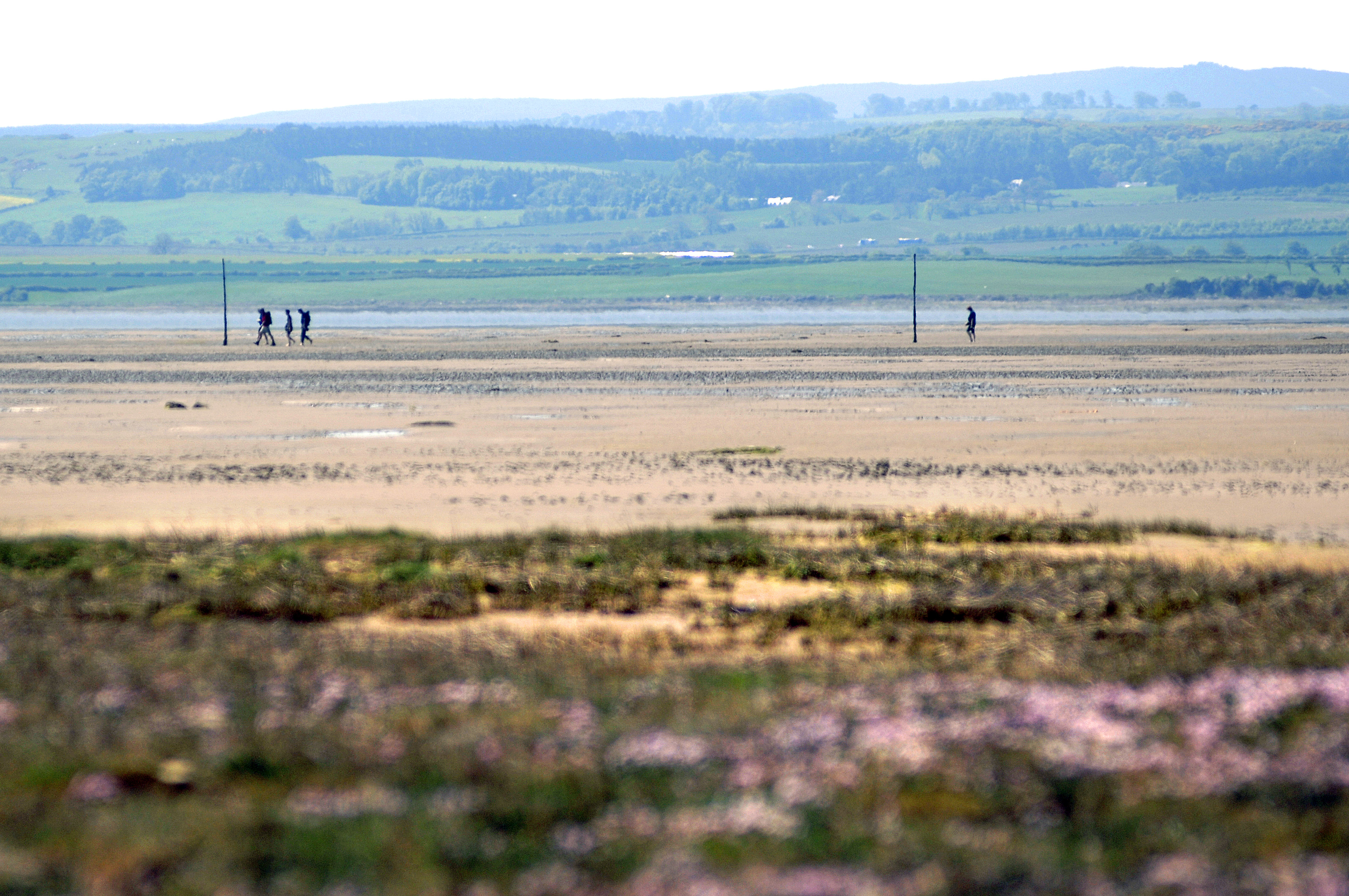 New poles maintain the way across the Lindisfarne sands